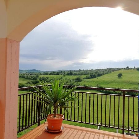 Agriturismo Podere Verdicchio Scansano Luaran gambar