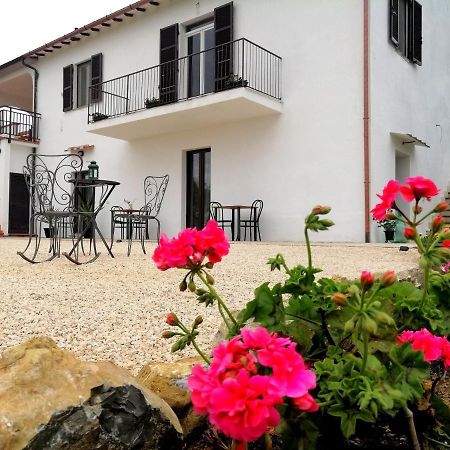 Agriturismo Podere Verdicchio Scansano Luaran gambar