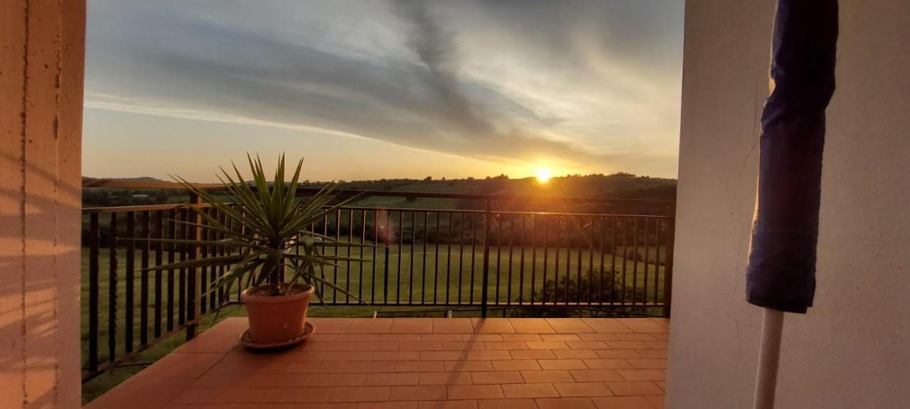 Agriturismo Podere Verdicchio Scansano Luaran gambar