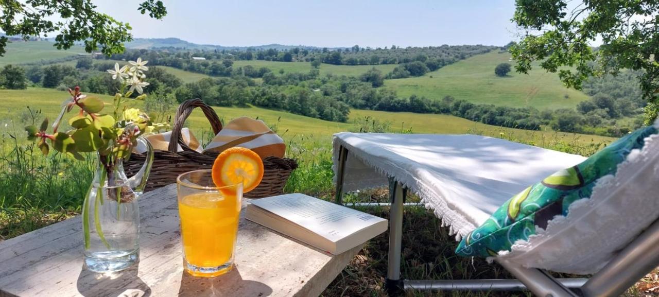Agriturismo Podere Verdicchio Scansano Luaran gambar